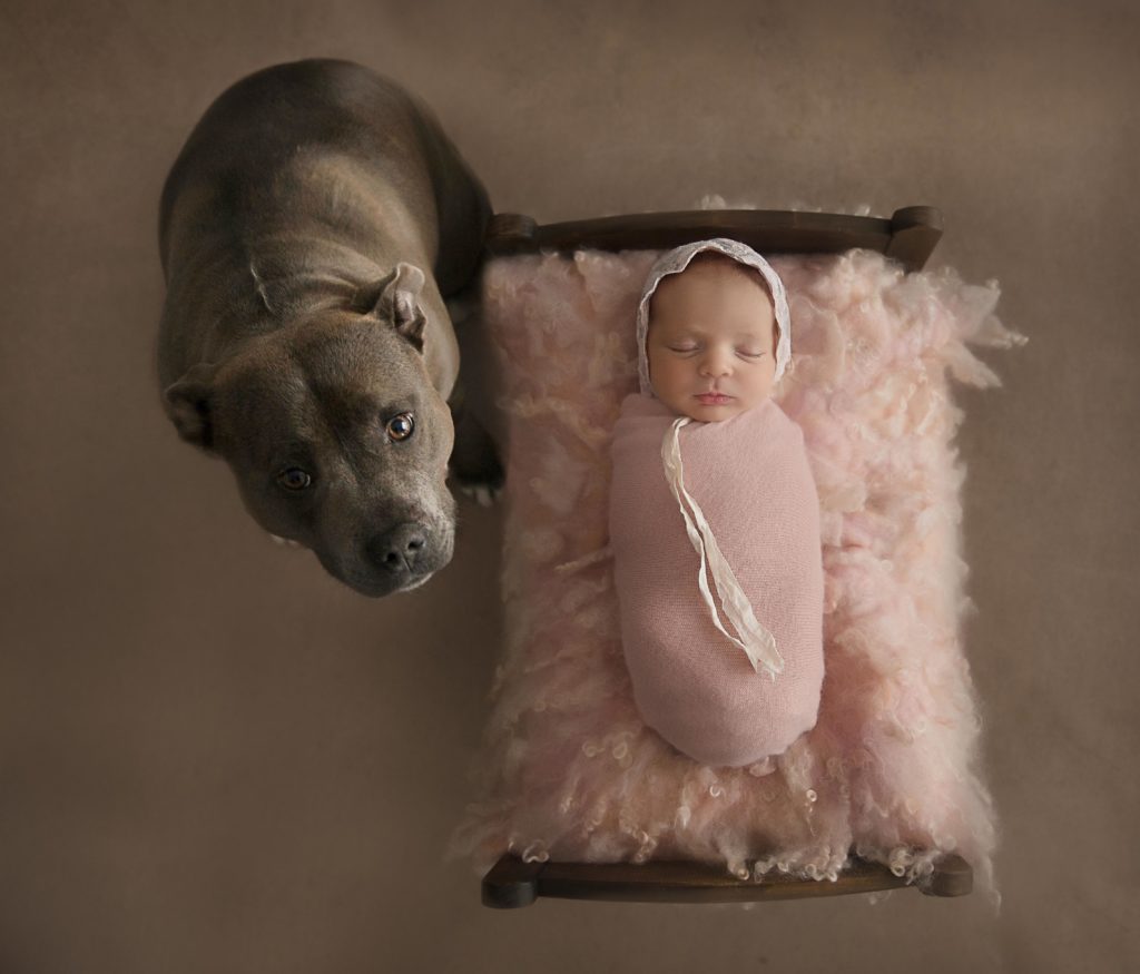 Dog and newborn photo