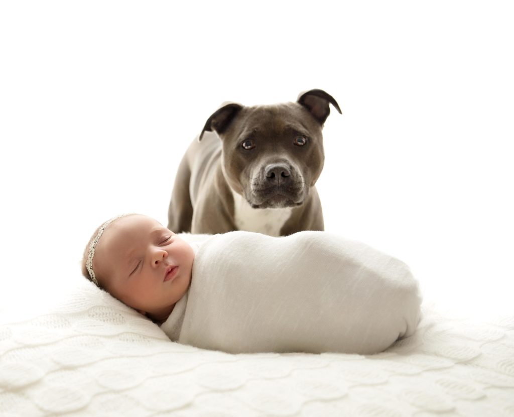 Newborn baby laying down with dog behind her for newborn photography